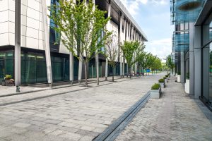 Sidewalk Repairs and Violation Removal