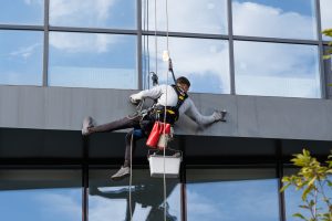 Facade Cleaning
